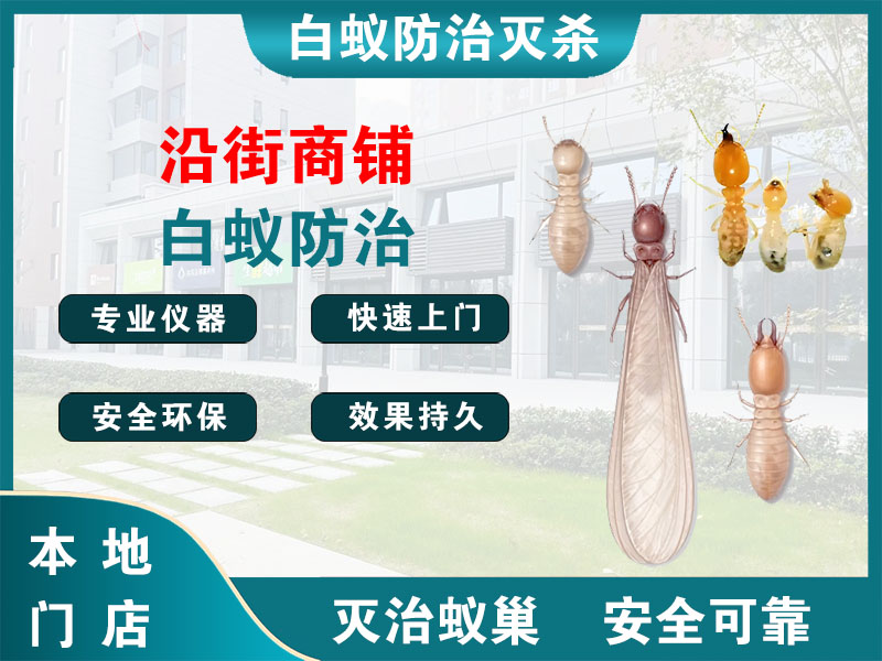 江阴沿街商铺白蚁防治
