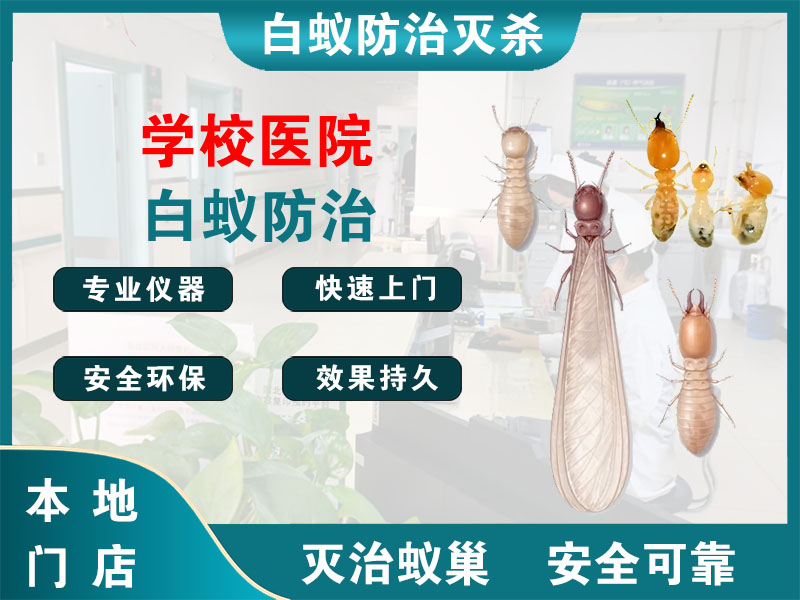 江阴学校医院白蚁防治