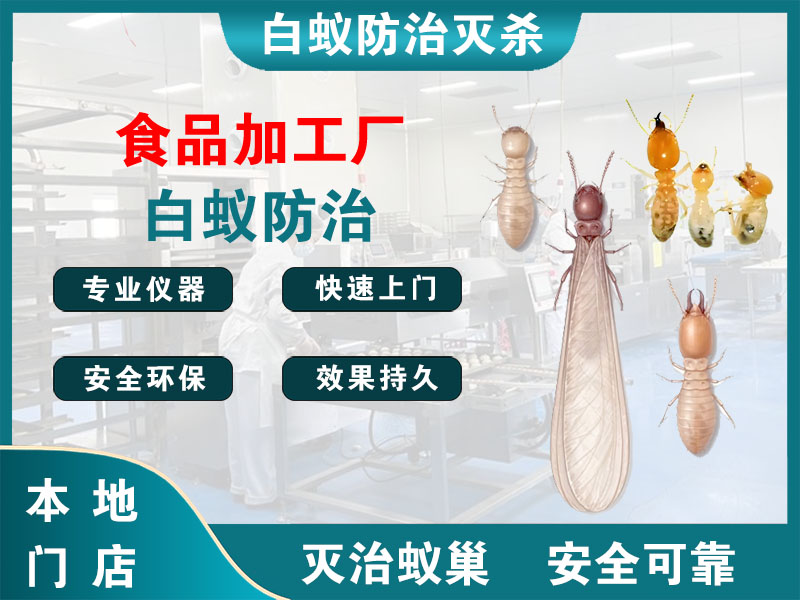 江阴食品加工厂白蚁防治