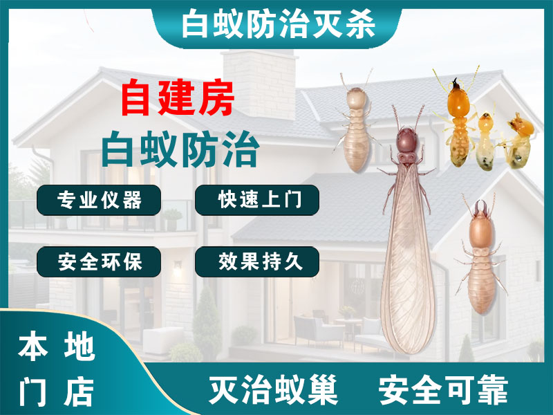 江阴自建房白蚁防治