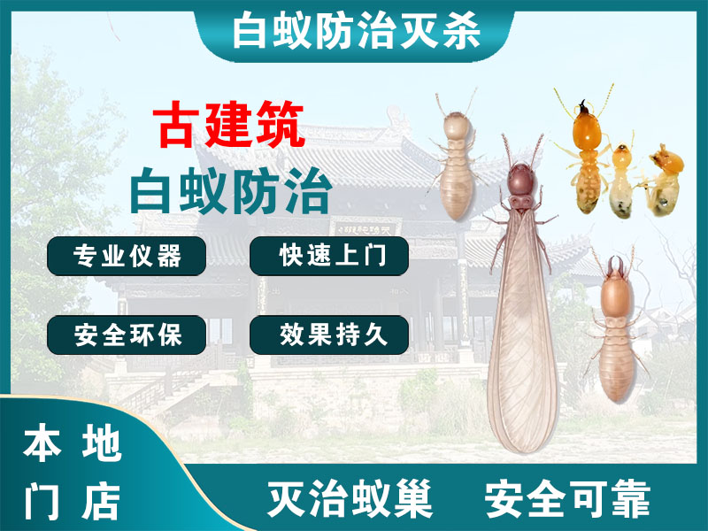 江阴古建筑白蚁防治