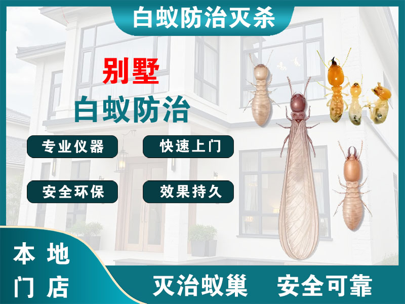 江阴别墅白蚁防治